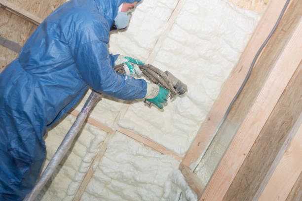 Best Insulation Removal  in Timberne, LA